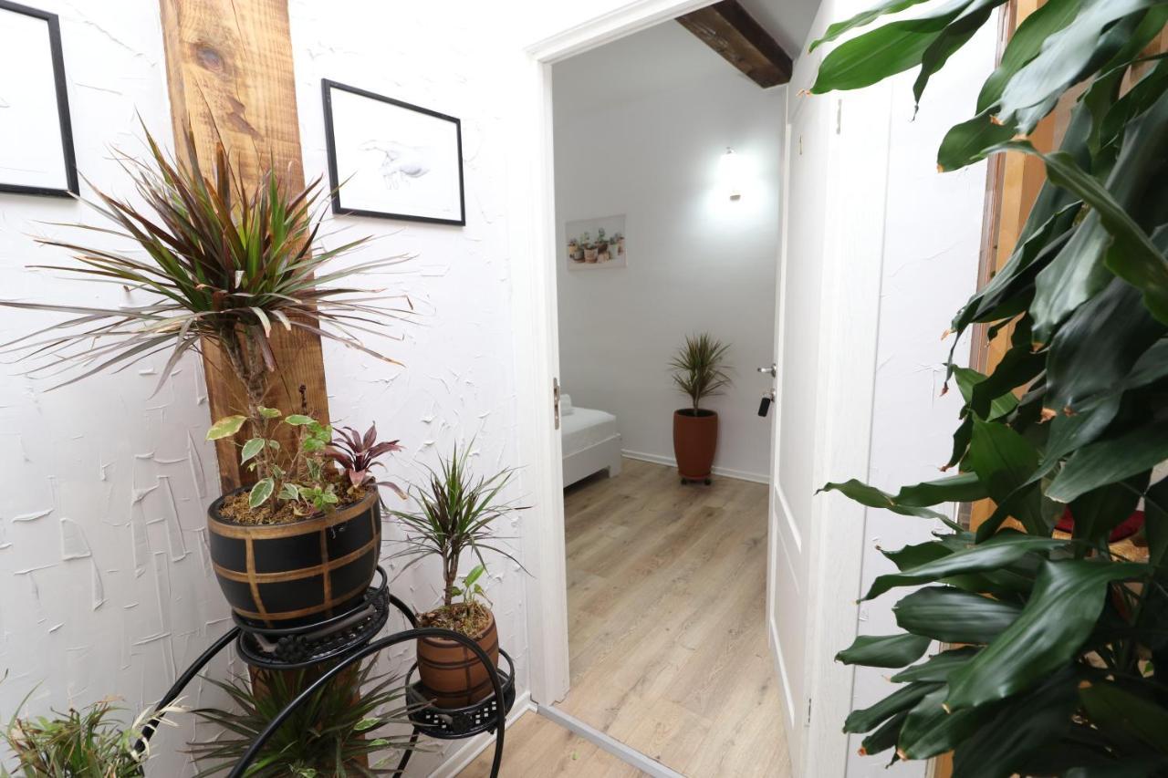 Gaia Bed & Breakfast Vlorë Екстериор снимка